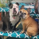 Jody Gallino Epperson - @jody.g.epperson - Instagram