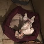 Jody Everett - @jodyeverett573 - Instagram