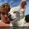 Joey Flaherty - @thejoeyflaherty - TikTok