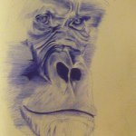 Jody Fleming - @ballpointprophet - Instagram