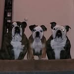 Jody Goins - @savingsdirect2u2 - Instagram