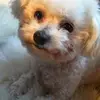 Jodi Gore - @jodi.gore - TikTok