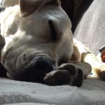 Jody Kronlage - @jody.gould - Instagram