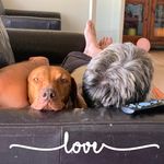 Jody Graham - @towniefarmergirl - Instagram