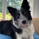 Jody Graham - @jodygraham6709 - Instagram