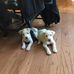 Judy Hammock - Facebook