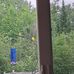 Judy Hanks - Facebook
