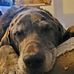 Jody Harbin - Facebook