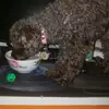 157365 - @jodyhawk555 - TikTok