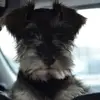 jodyheath1026 - @jodyheath1026 - TikTok