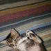 Jody Hodges - Facebook