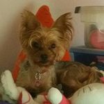 Jody Haruguchi Hodges - @guch808 - Instagram