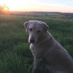 Jody Hodges - @jodymhodges - Instagram