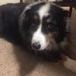 jody howe - @jsh7_forlife - Instagram