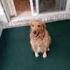 jodyhunter16 - @jodyhunter16 - TikTok