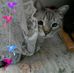 Jody Hurd - Facebook