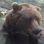 Jody Hyde - @hyde.jody - Instagram