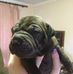 Jodie Irons - Facebook