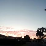 Jody Jackson - @jody_jackson_ - Instagram