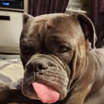Jody Jameson - Facebook