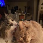 Jody Kaplan - @jodyrk2 - Instagram