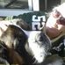 Jody Gorr Kellogg - Facebook