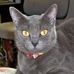 Jody Kern - Facebook