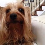 Jody Kerns - @jodykernscomedian - Instagram