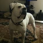 JODY KIDD - @jodykidd - Instagram
