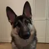 Jody Lamb236 - @jodylamb236 - TikTok