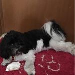 Jody Lambert - @jodylambert2111 - Instagram