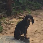 Jody Lambert - @jodylambert8886 - Instagram