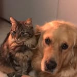 @jody.layla_et_compagnie - Instagram