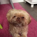 Jody - @jodylientje_2006 - Instagram
