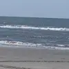 Jodi Link - @jodilink - TikTok