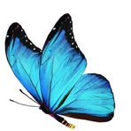 Jody Links - Facebook