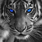 Jody Lund Greckel - Facebook