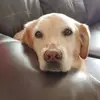 Jody Mcafee - @jody.mcafee - TikTok
