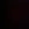 Jody McNeil - @jody.mcneil - TikTok