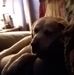 Jody McQueen - Facebook