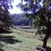Jody Mcrae - Facebook