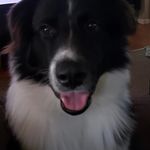 Jody McRae - @mcrae9321 - Instagram