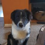Jody McRae - @mcrae4224 - Instagram