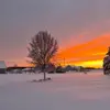 Jodi Messick - @sussexchic - TikTok