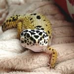 Jody Huddleston Meyer - @jodymeyer97 - Instagram