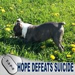 Jody Lee Meyer - @capsforcauses - Instagram