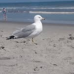 Jody Meyer - @coxmeyer - Instagram