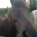 Jody Meyer - @jody.meyer.31 - Instagram