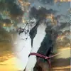 Jody Meyer - @jodymeyer6 - TikTok