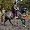Jodie Moir - @jodie.moir0 - TikTok